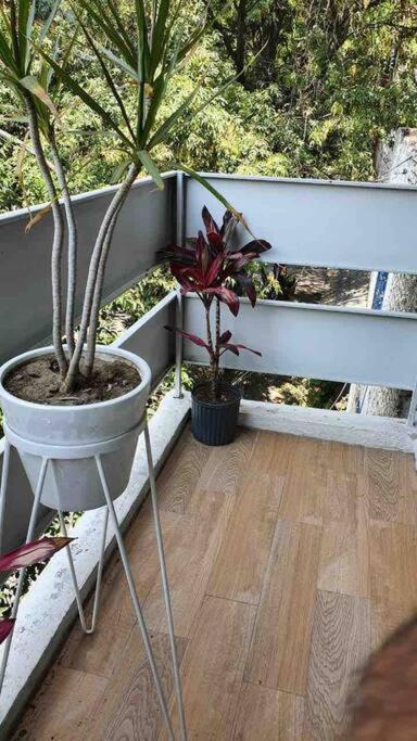 Cozy Apartment In Condesa'S Heart ! 墨西哥城 外观 照片