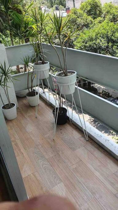 Cozy Apartment In Condesa'S Heart ! 墨西哥城 外观 照片