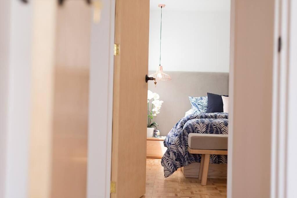 Cozy Apartment In Condesa'S Heart ! 墨西哥城 外观 照片